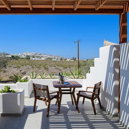 Safrani * Картерадос